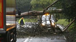 Prešovčania odstraňujú následky veternej smršte