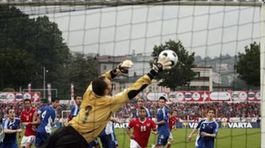 Najlepším hráčom Slovenska bol brankár Ján Mucha.