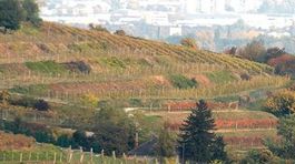 Novela zákona má chrániť poľnohospodársku pôdu pred špekulantmi