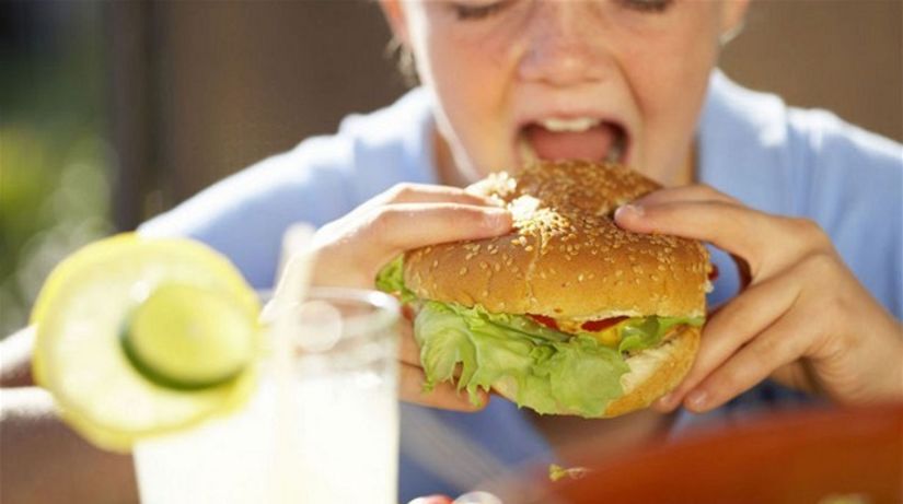 hamburger - strava - nezdravé - hlt - fast-food