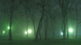 Na Zemplíne vznikne geopark: tokajské víno, história, šport 'pod jednou strechou'