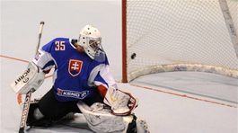 Inline MS finále Slovensko-Švédsko