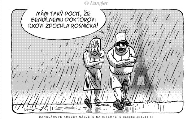 Karikatúra 04.07.2008