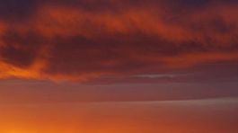 Vitol: Nízke ceny ropy môžu vydržať až desať rokov