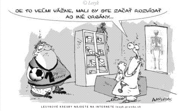 Karikatúra 30.08.2008