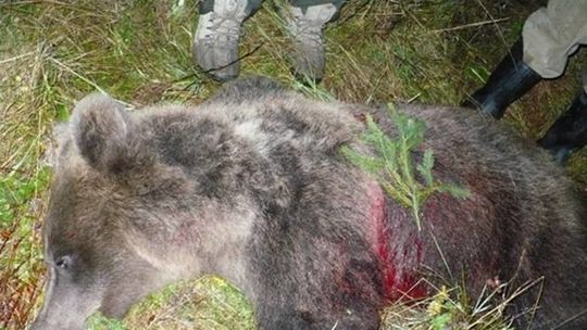 Ani v najhoršej totalite si moc nedovolila takto spochybniť vedcov, skonštatoval Slovenský ochranársky snem