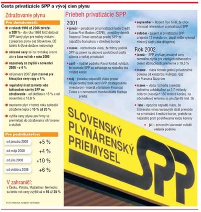 Plyn - privatizácia