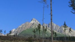Tatranský chodník v Javorovej doline je opäť priechodný