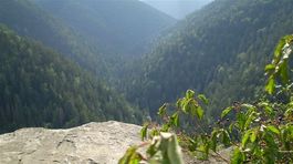 V Liptove otvorili vyhliadku do 70 metrov hlbokého kaňonu rieky Kvačianky