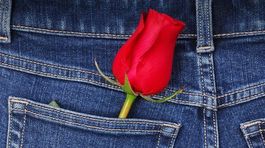 Kvet na Valentína má hlbší význam. Čo hovorí ruža, čo tulipán?