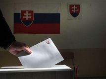 voľby, referendum
