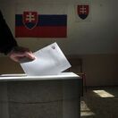 voľby, referendum
