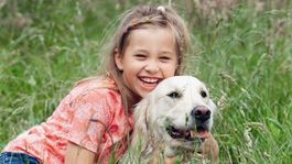 Černobyľské túlavé psy čaká americký sen. Stovky si ich adoptujú za oceánom