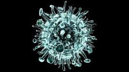 Muž z Rimavskej Soboty umrel na prasaciu chrípku