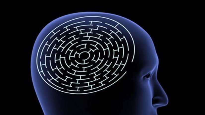 hlava - mozog - labyrint