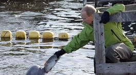 Putin, delfín