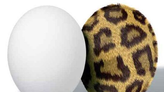 Čo bolo skôr? Vajce alebo sliepka?