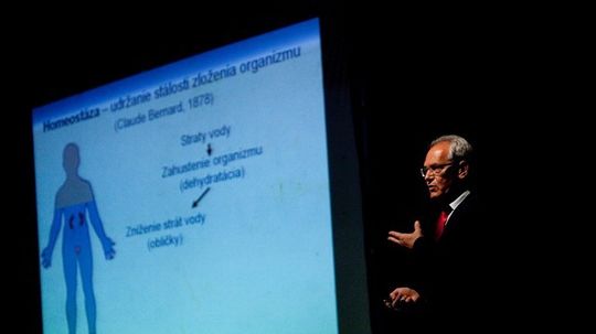 Profesor László Kovács prednáša o tom, koľko a...