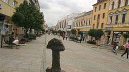 Vodiči nitrianskej Arrivy nebudú štrajkovať, zdvihnú im platy