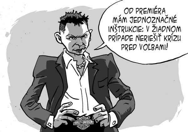 Karikatúra 20.08.2009