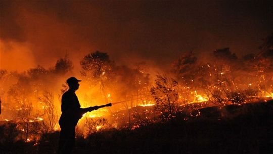 Kvôli lesnému požiaru pri Aténach so stovkou obetí boli odsúdení aj bývalí hasiči, politici sú nevinní