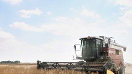 Začína sa žatva v najnižšie položených oblastiach