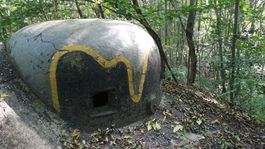 Hitlerov Vlčí brloh: Niekdajšie nacistické bunkre sú dnes magnetom na turistov