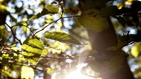 jeseň, počasie, babie leto