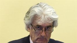 Karadžiča rozsudok ICTY zaskočil, tvrdí jeho advokát