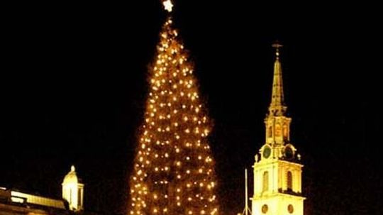 Obrovský 23 metrov vysoký vianočný strom na...