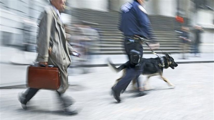 letisko, policajt, kontrola, policajný pes,...