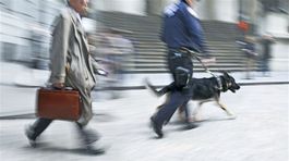 Policajti pri pokuse o útek Maročanov na Schwechate nepochybili