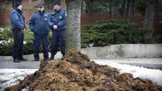 Mestskí policajti pred kopou hnoja pred Úradom...