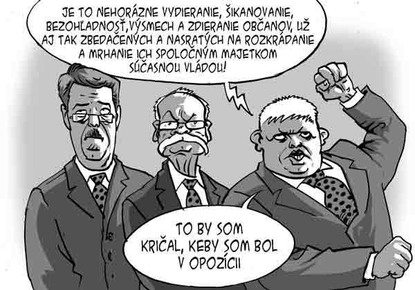 Karikatúra 14.01.2010