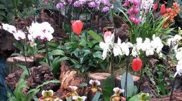 Pandémia zmenila správanie sa turistov v Košickom kraji, padli aj rekordy