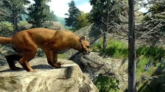 Z hry BIG GAME HUNTER 2010
