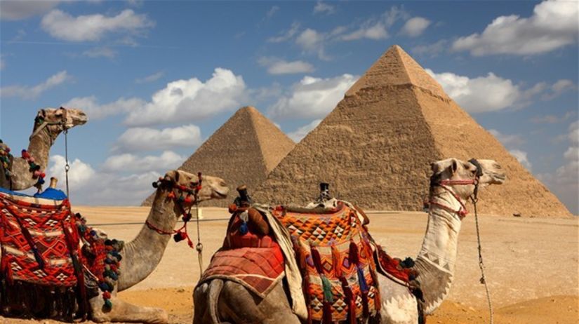 Egypt, ťava, pyramídy, púšť, ťavy