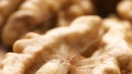 Hrsť orechov denne posilní nervy. Čo ešte jesť pri strese?