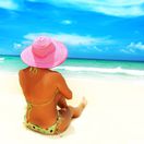 leto, dovolenka, opaľovanie, klobúk, slnko, slnenie, pláž, more, letná dovolenka, vitamín D
