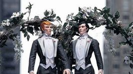 Talianska dúhová revolúcia