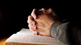 Katolícka cirkev v Holandsku 'liečila' mladých homosexuálov kastráciou