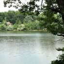 draždiak, petržalka, voda, jazero, stromy