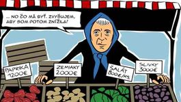 Gašparec, 25.8.2010