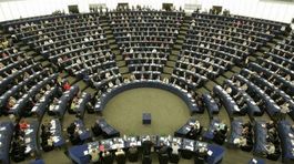 Slovenskí europoslanci kritizujú Weberovu výzvu, hlavné je vyšetrovanie