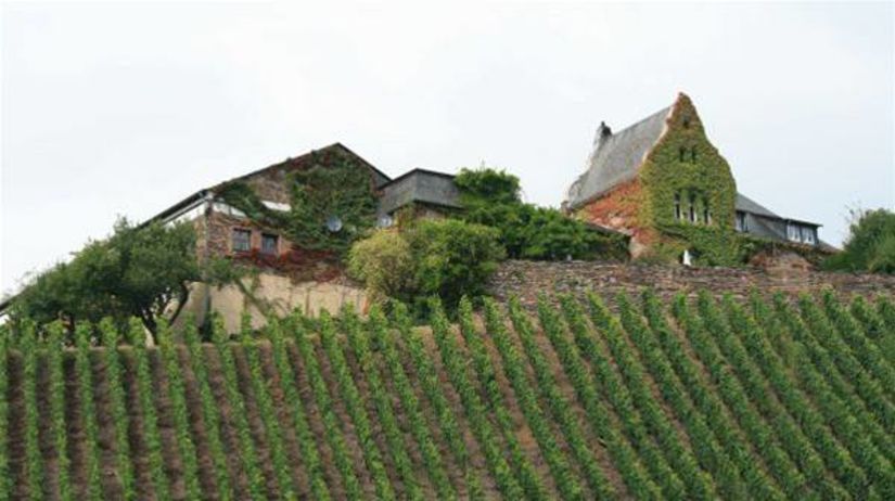 Luxembursko, vinice