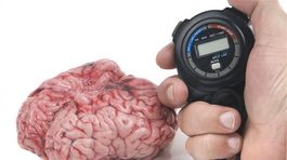 Objavili proteín, ktorý môže spomaliť alebo zvrátiť starnutie mozgu