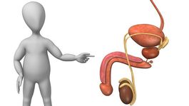 Rakovinu semenníkov možno úspešne liečiť len jedným cyklom chemoterapie
