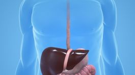 Keď páli záha... môže to byť jedlom, ale aj príznak choroby