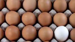 Slovensko je vo vajciach sebestačné, zrejme aj zostane