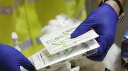 Prasacia chrípka dorazila do Ruska, má obete na životoch